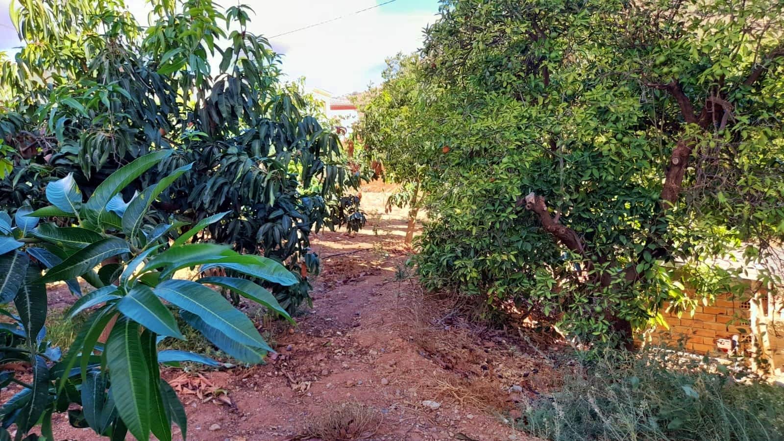 Grunde uden byggetilladelser til salg i Benamargosa - € 65.000 (Ref: 8568922)