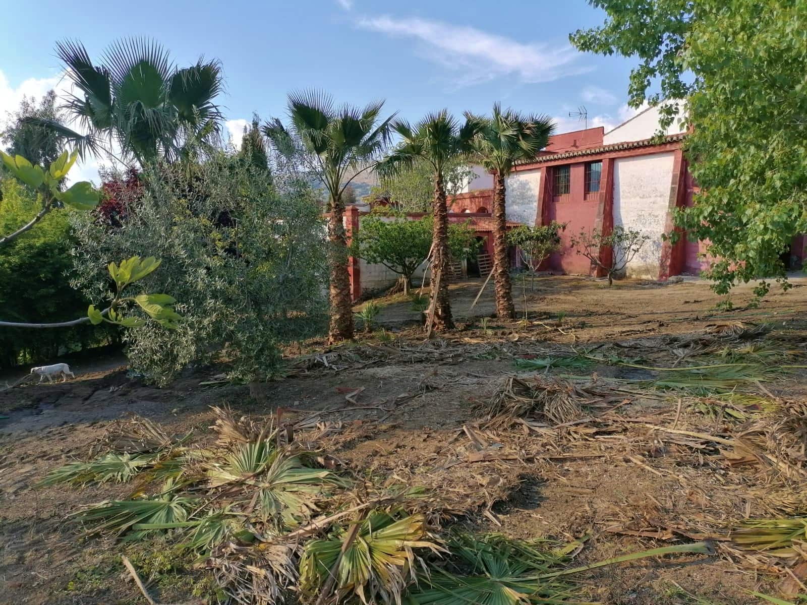 4 soveværelse Finca/Landehus til salg i Alhama de Granada - € 849.000 (Ref: 8635372)