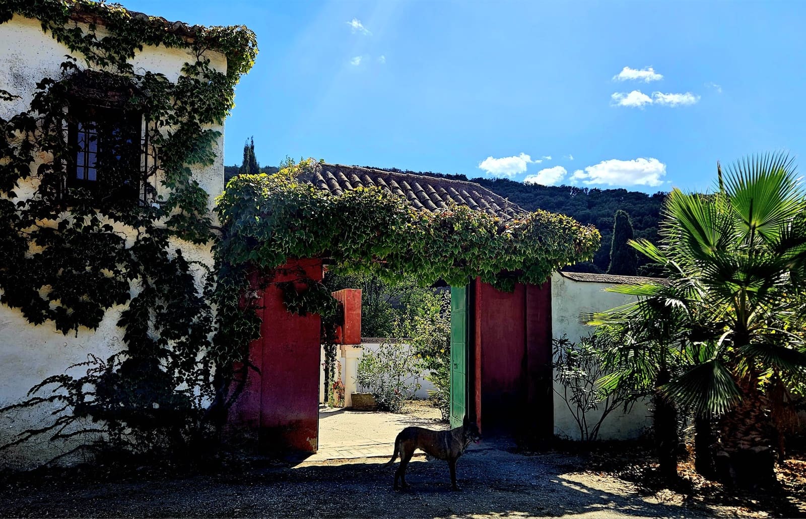 4 soveværelse Finca/Landehus til salg i Alhama de Granada - € 849.000 (Ref: 8635372)