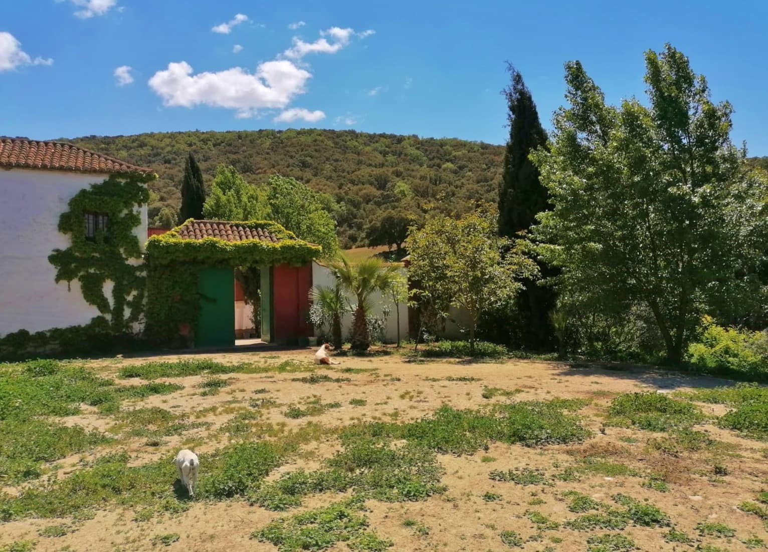 4 soveværelse Finca/Landehus til salg i Alhama de Granada - € 849.000 (Ref: 8635372)