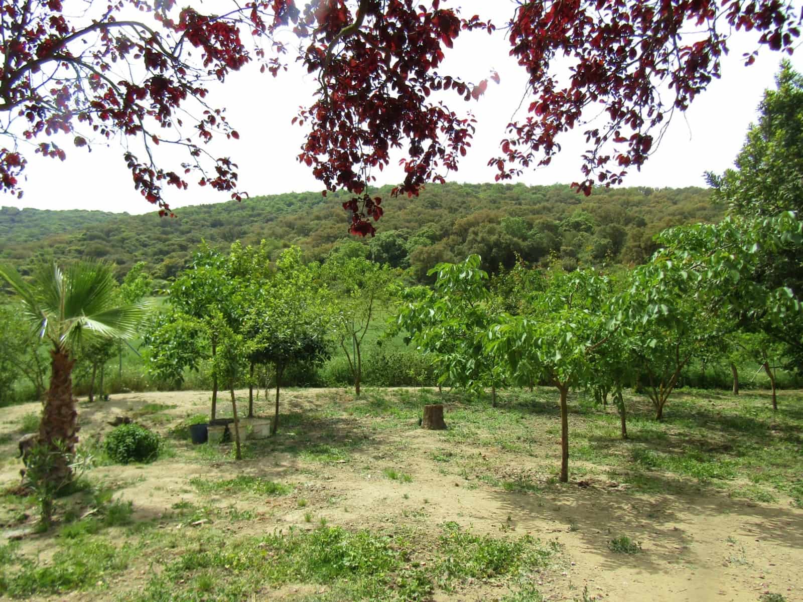 4 soveværelse Finca/Landehus til salg i Alhama de Granada - € 849.000 (Ref: 8635372)