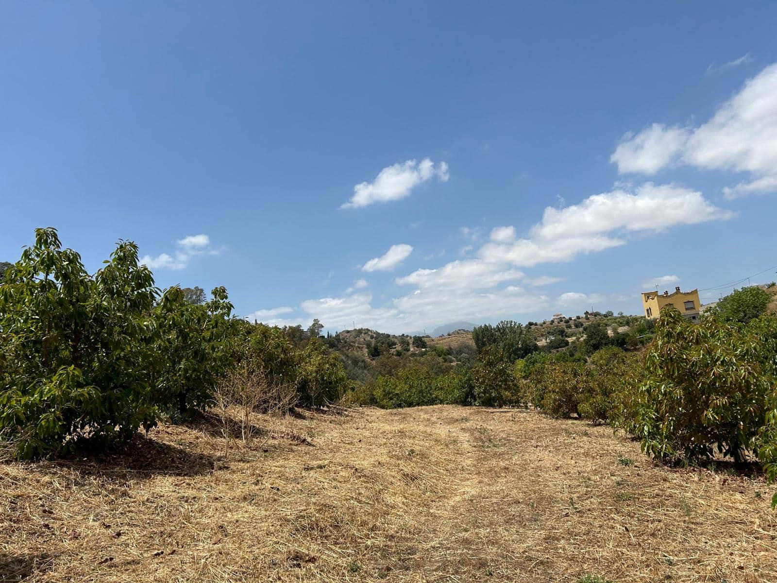 2 soveværelse Finca/Landehus til salg i Coin med garage - € 329.000 (Ref: 8669156)