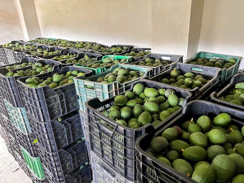 2 soveværelse Finca/Landehus til salg i Coin med garage - € 329.000 (Ref: 8669156)