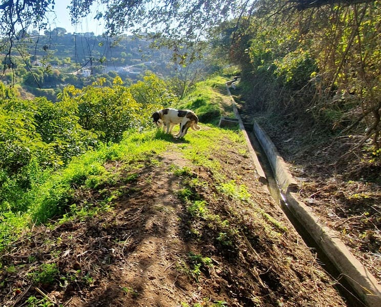 2 soveværelse Finca/Landehus til salg i Coin med garage - € 329.000 (Ref: 8669156)