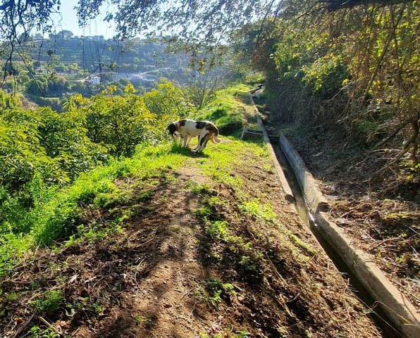 2 soveværelse Finca/Landehus til salg i Coín med garage - € 329.000 (Ref: 8669156)