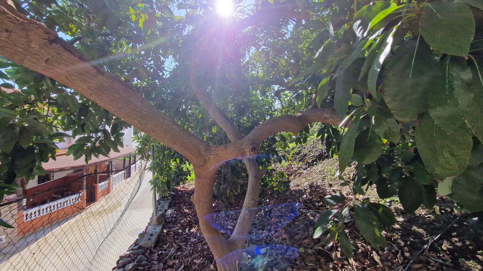 3 soveværelse Byhus til salg i Almachar med garage - € 220.000 (Ref: 8671416)