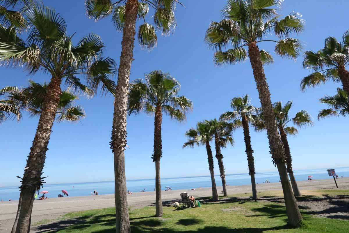 2 quarto Apartamento para arrendar em Torre del Mar - 1 090 € (Ref: 8683779)