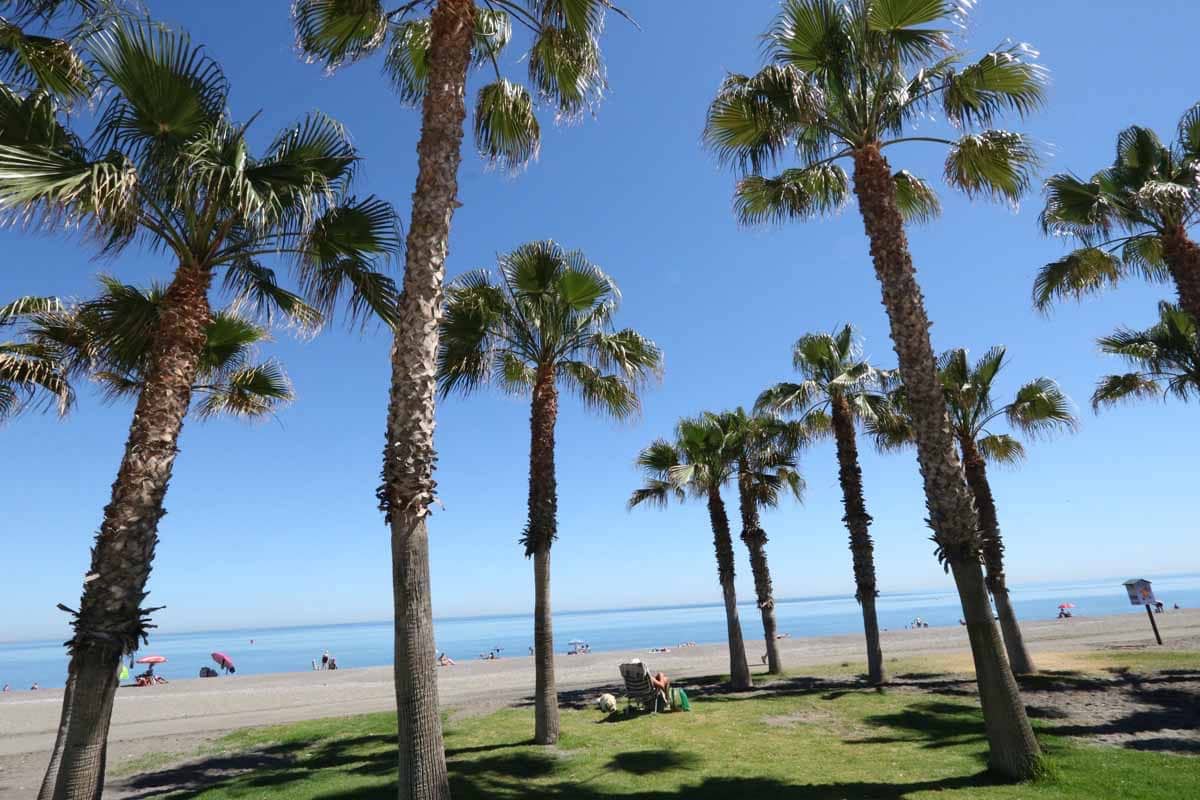 2 bedroom Apartment for rent in Torre del Mar - € 1,090 (Ref: 8683779)