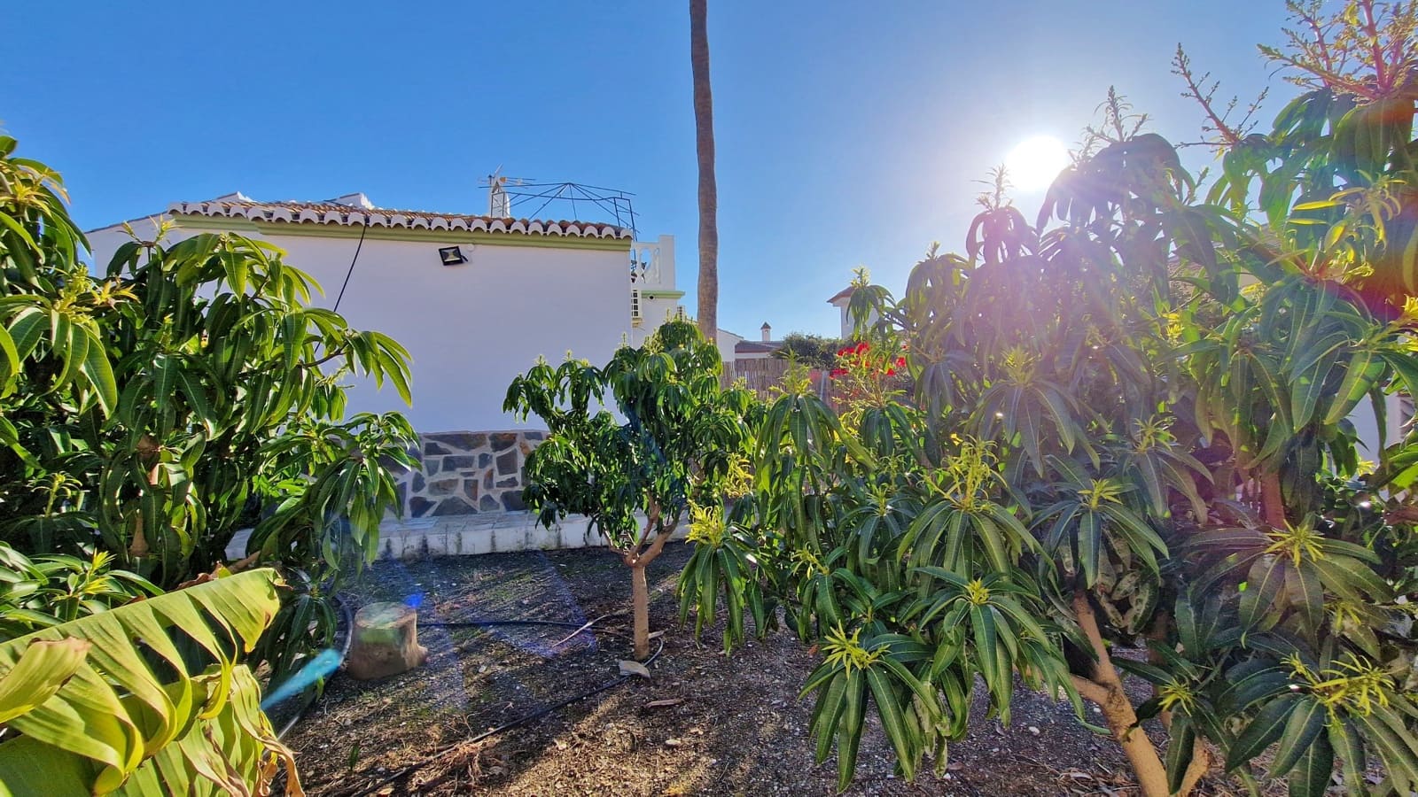 3 chambre Villa/Maison à vendre à Mezquitilla avec piscine - 469 000 € (Ref: 8826161)