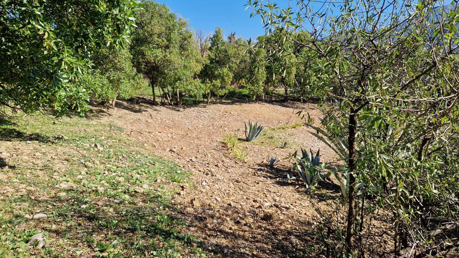 3 soveværelse Finca/Landehus til salg i Alcaucin med swimmingpool garage - € 374.950 (Ref: 8828212)