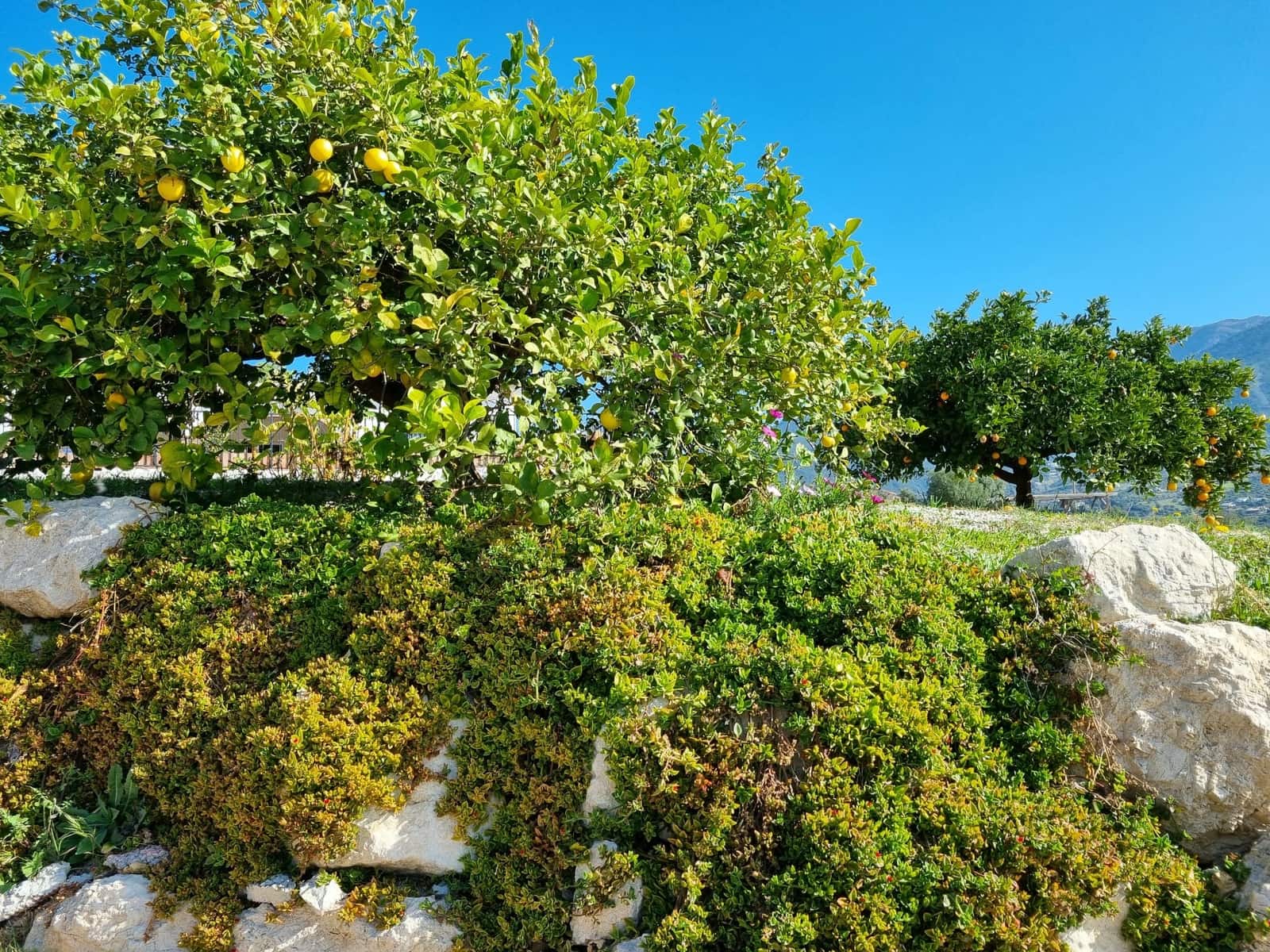 3 soveværelse Finca/Landehus til salg i Alcaucin med swimmingpool garage - € 374.950 (Ref: 8828212)