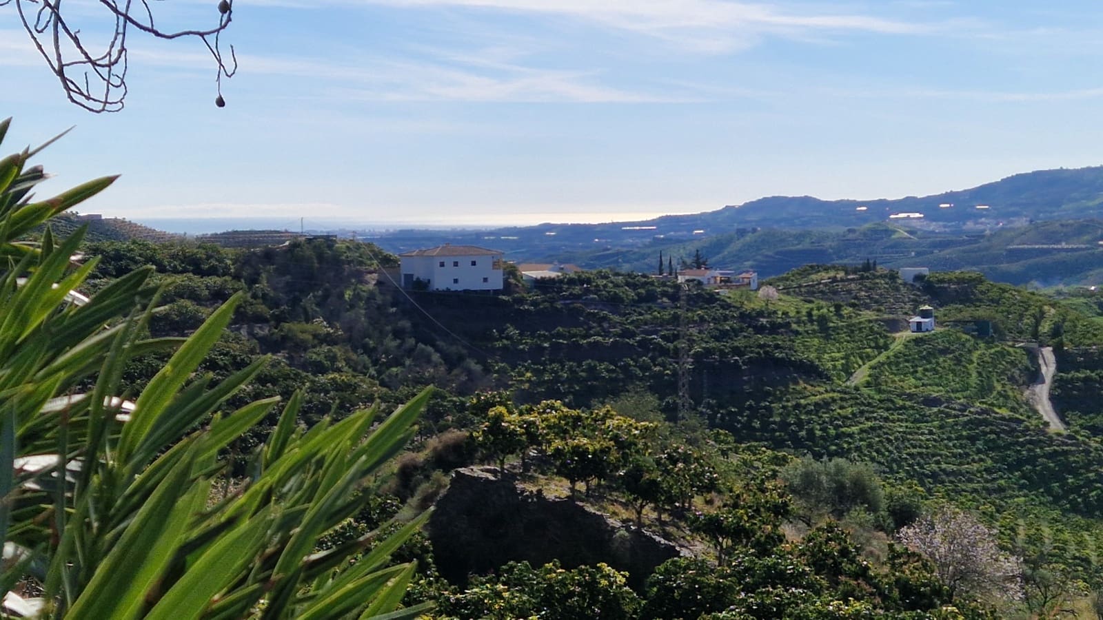 3 soveværelse Finca/Landehus til salg i Benamargosa - € 350.000 (Ref: 8828213)