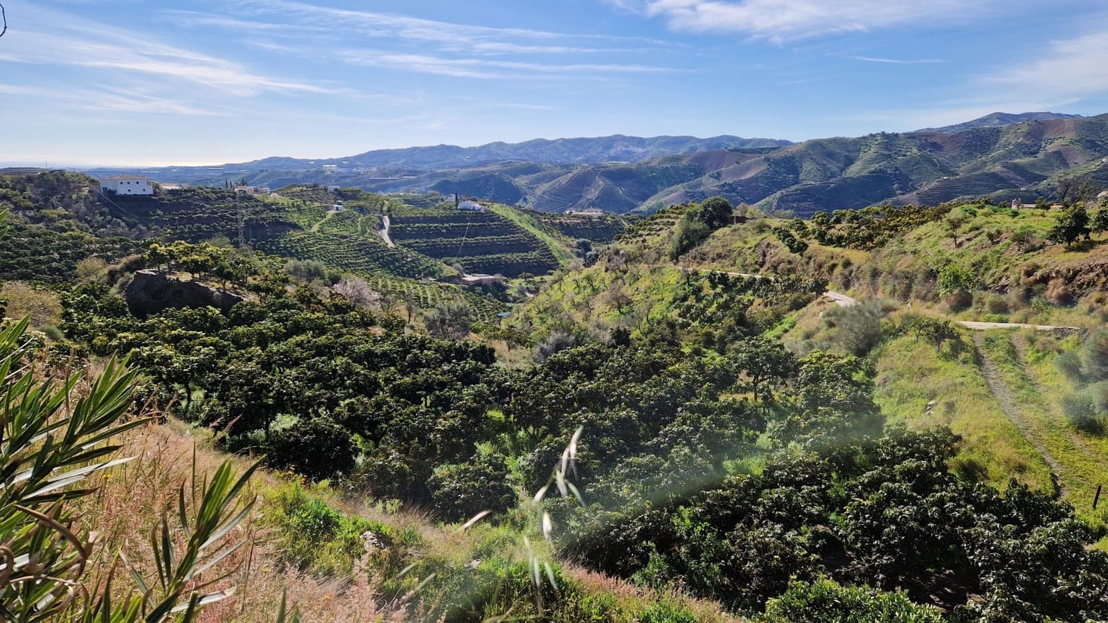 3 soveværelse Finca/Landehus til salg i Benamargosa - € 350.000 (Ref: 8828213)