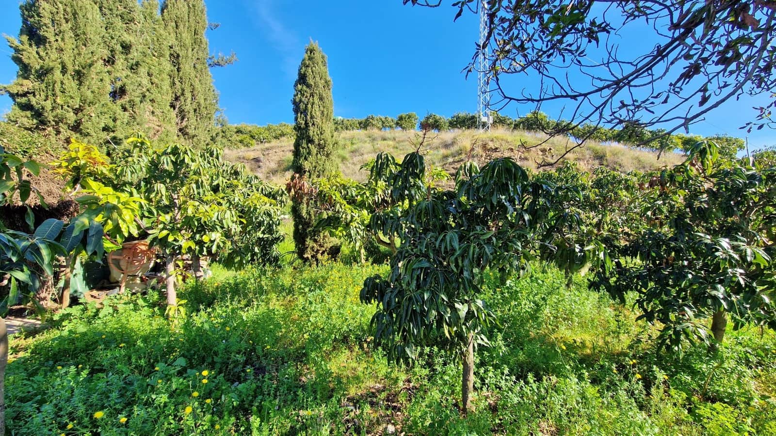 3 soveværelse Finca/Landehus til salg i Benamargosa - € 350.000 (Ref: 8828213)