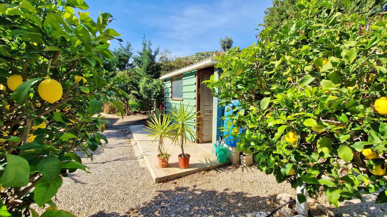 3 soveværelse Finca/Landehus til salg i Benamargosa - € 350.000 (Ref: 8828213)