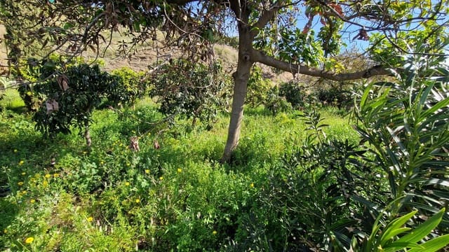 3 soveværelse Finca/Landehus til salg i Benamargosa - € 350.000 (Ref: 8828213)