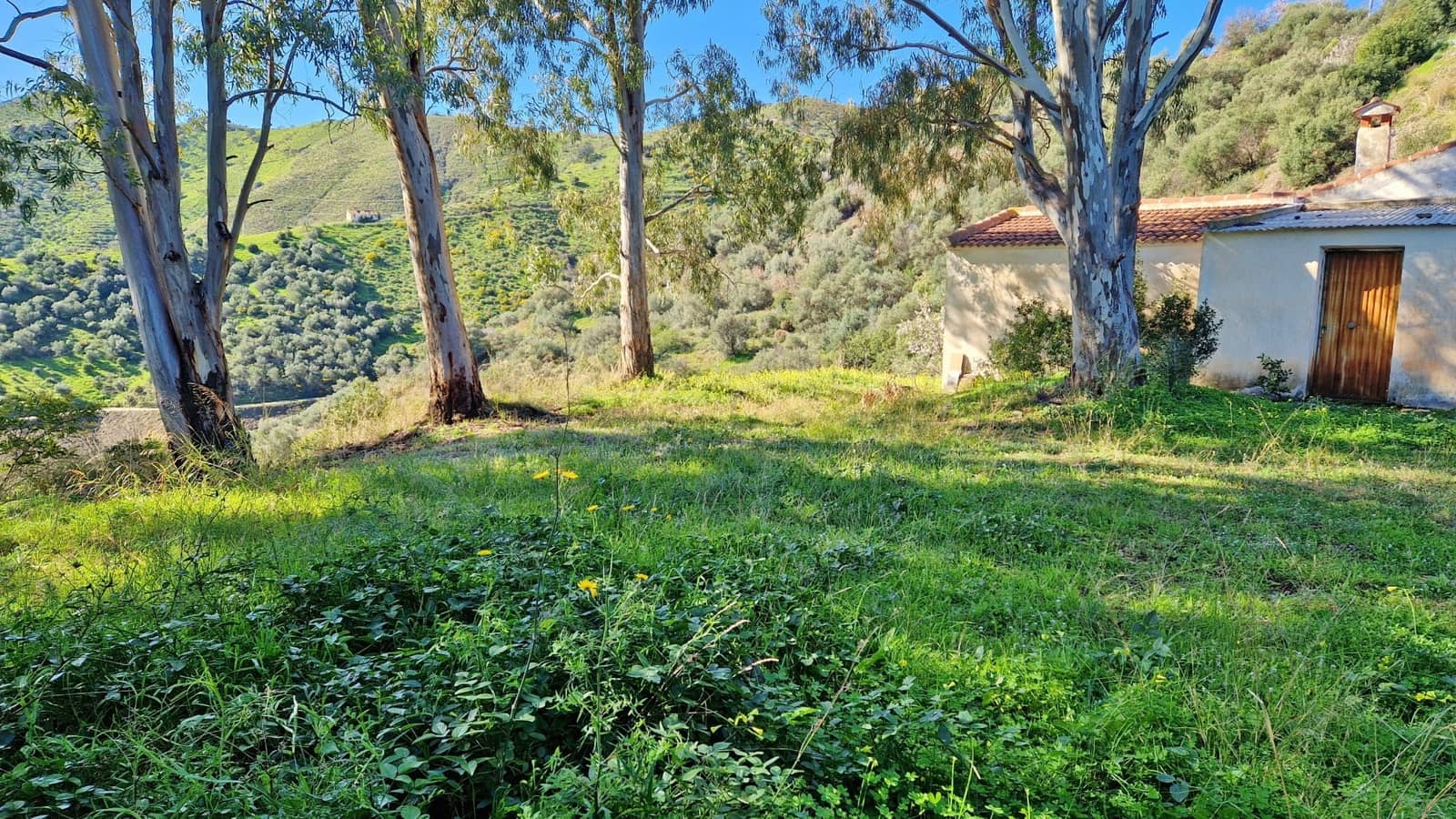 3 chambre Finca/Maison de Campagne à vendre à Almachar - 55 000 € (Ref: 8873428)