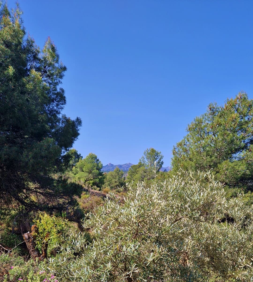 2 soveværelse Finca/Landehus til salg i Jayena - € 85.000 (Ref: 8971582)