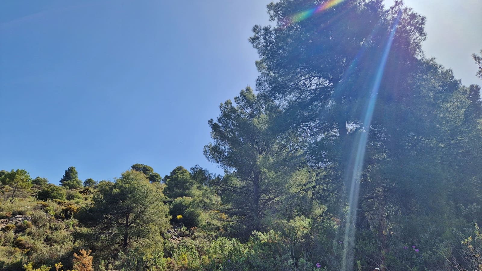 2 soveværelse Finca/Landehus til salg i Jayena - € 85.000 (Ref: 8971582)