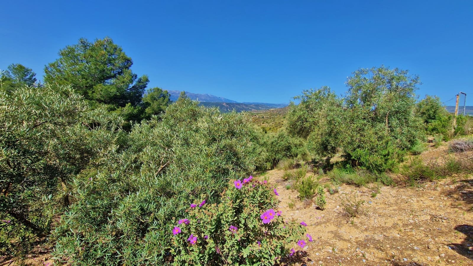 2 soveværelse Finca/Landehus til salg i Jayena - € 85.000 (Ref: 8971582)