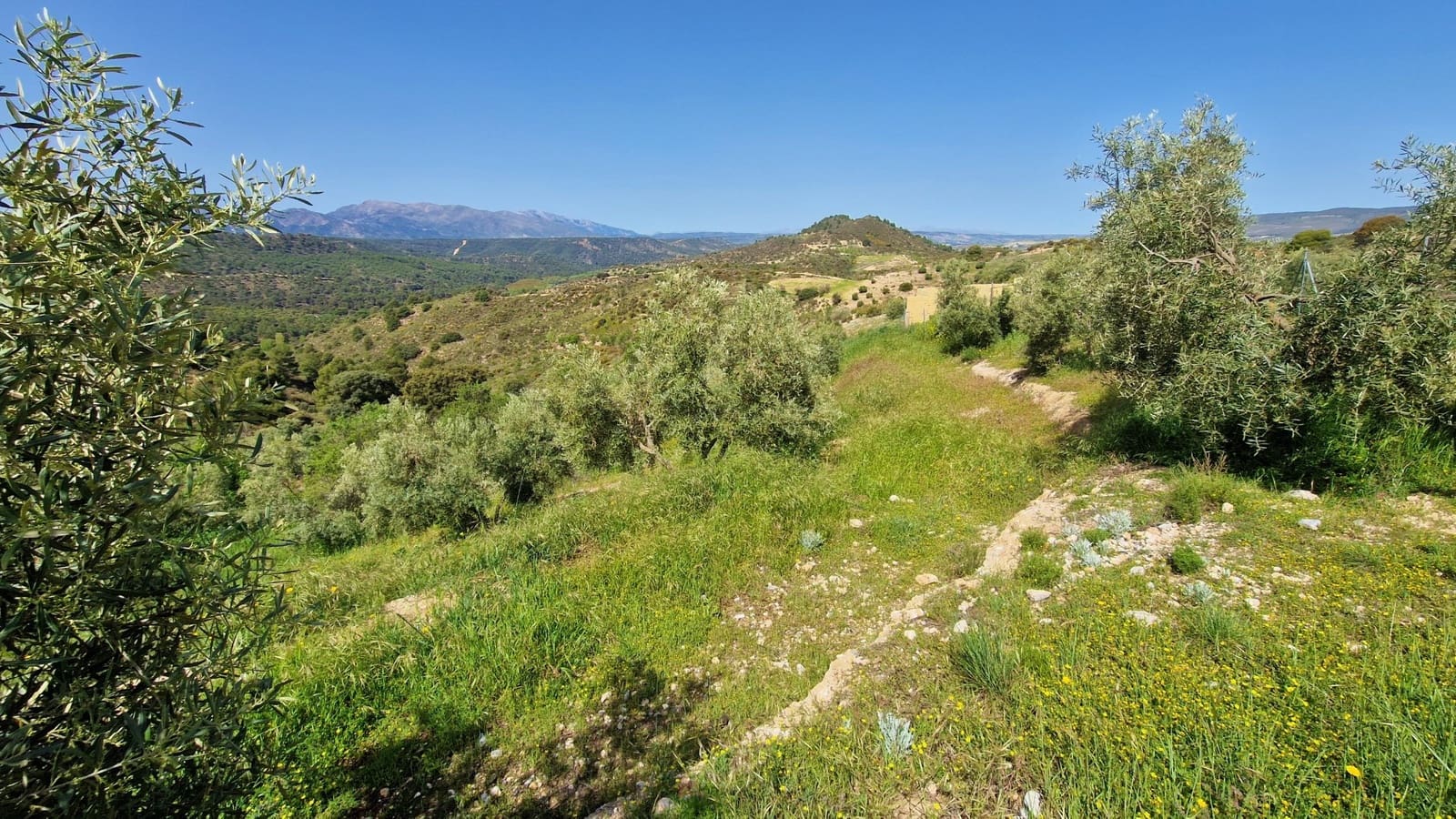 2 soveværelse Finca/Landehus til salg i Jayena - € 85.000 (Ref: 8971582)