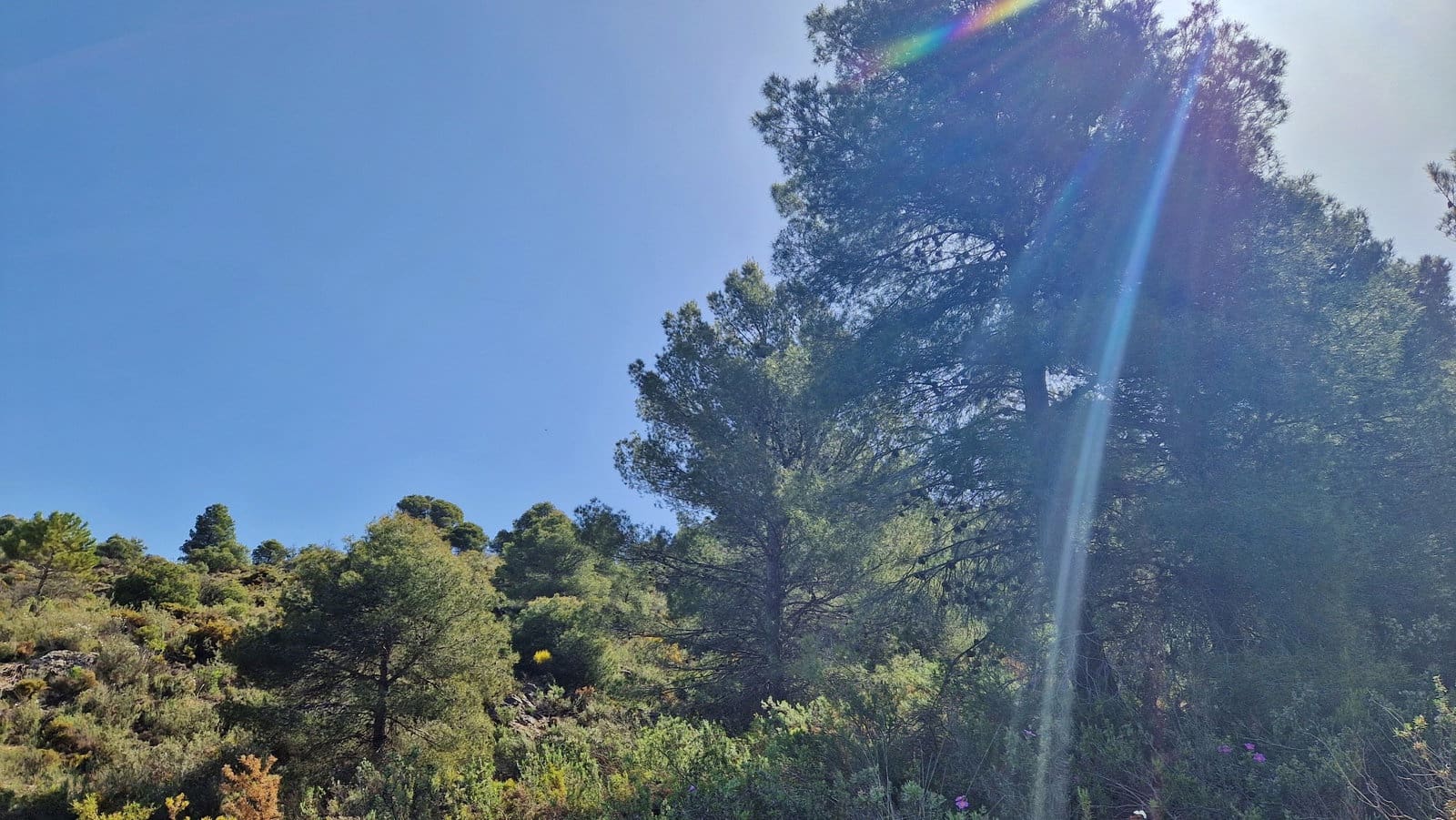 2 soveværelse Finca/Landehus til salg i Jayena - € 85.000 (Ref: 8971582)