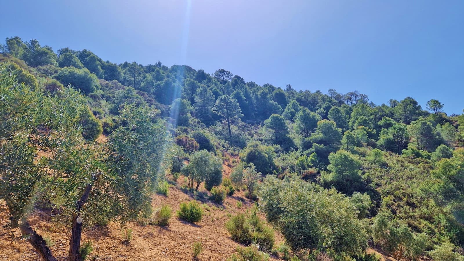 2 soveværelse Finca/Landehus til salg i Jayena - € 85.000 (Ref: 8971582)