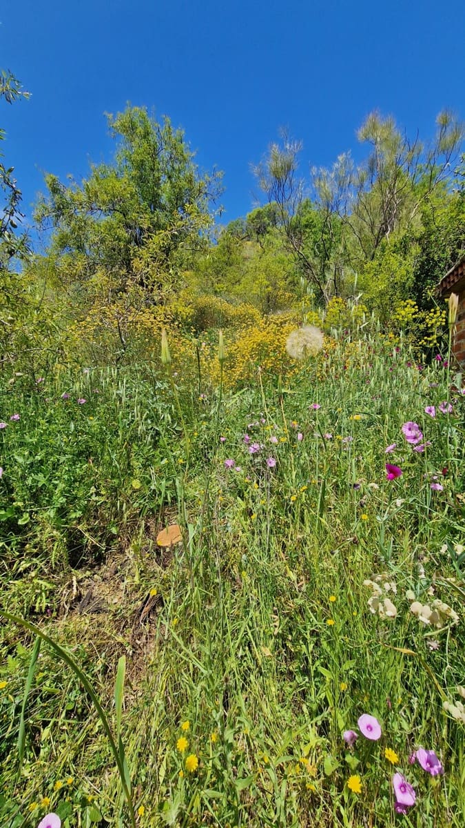 3 soveværelse Finca/Landehus til salg i Malaga by - € 375.000 (Ref: 9000400)