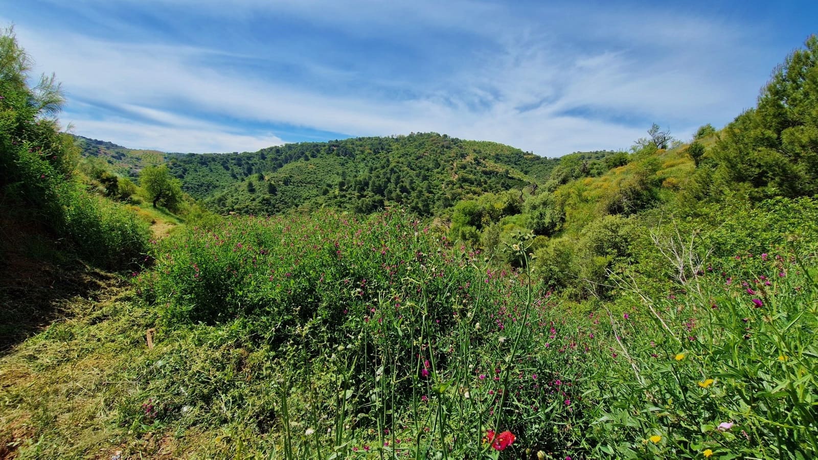 3 soveværelse Finca/Landehus til salg i Malaga by - € 375.000 (Ref: 9000400)