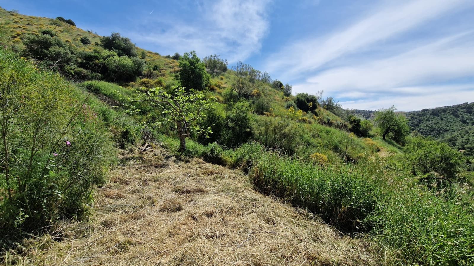 3 soveværelse Finca/Landehus til salg i Malaga by - € 375.000 (Ref: 9000400)