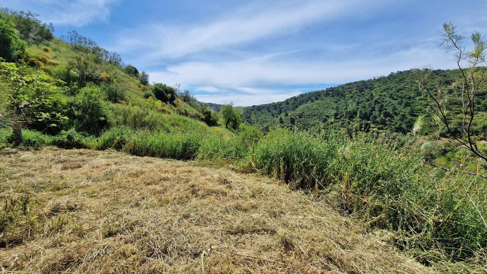 3 soveværelse Finca/Landehus til salg i Malaga by - € 375.000 (Ref: 9000400)