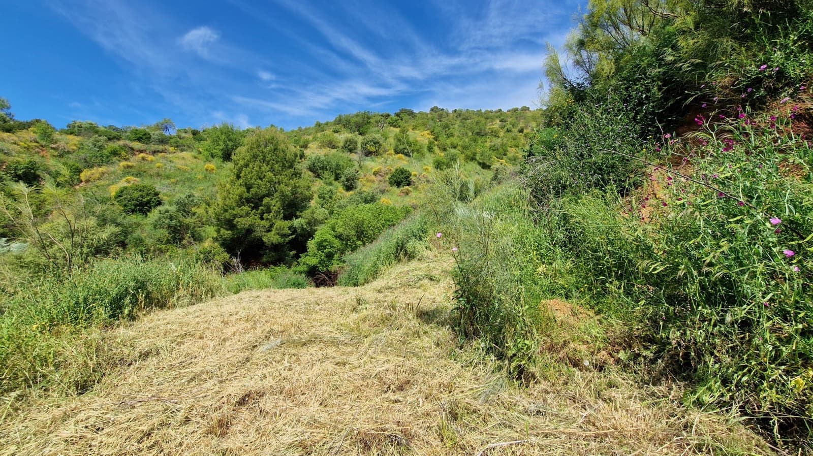 3 soveværelse Finca/Landehus til salg i Malaga by - € 375.000 (Ref: 9000400)