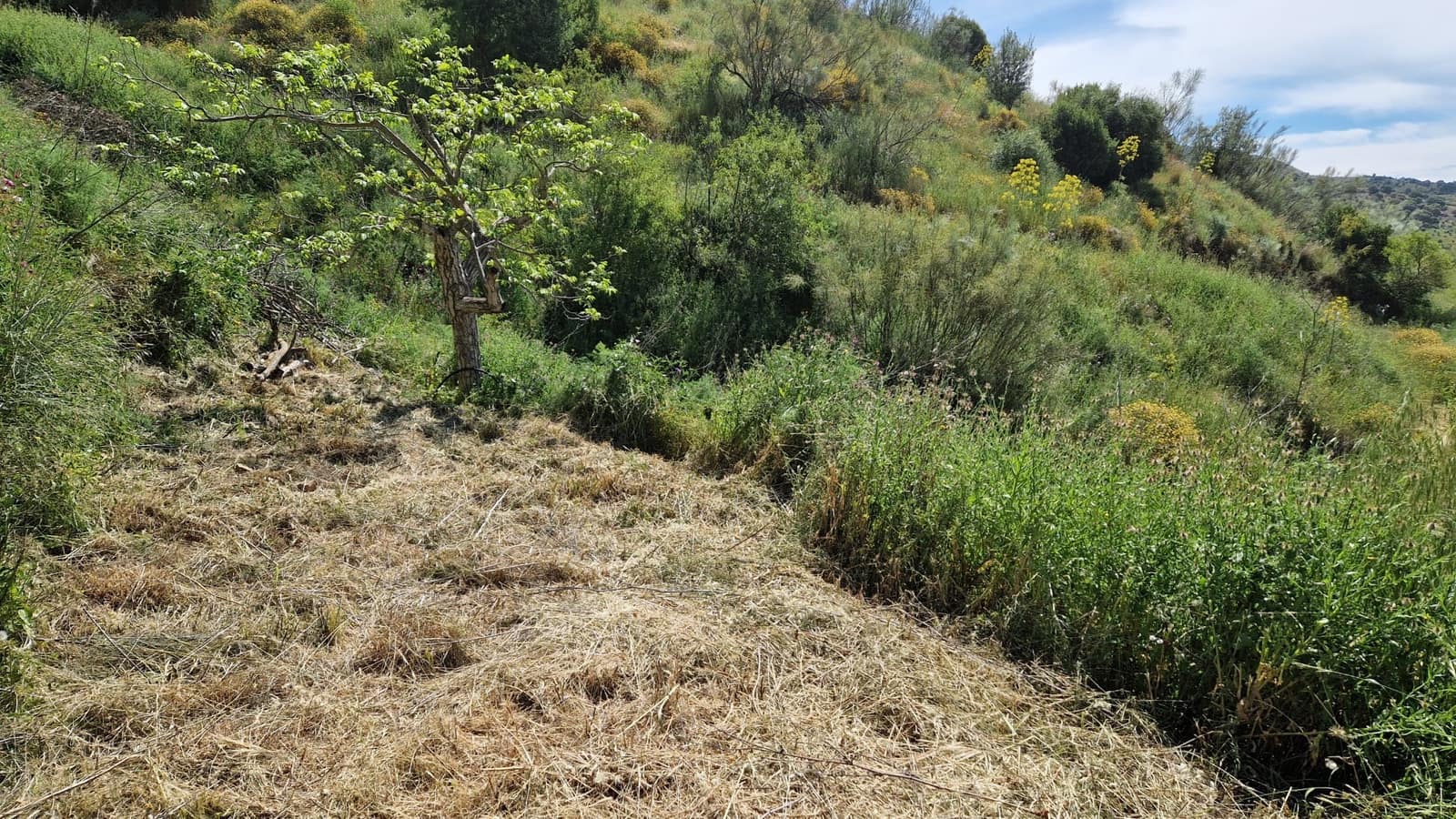 3 soveværelse Finca/Landehus til salg i Malaga by - € 375.000 (Ref: 9000400)