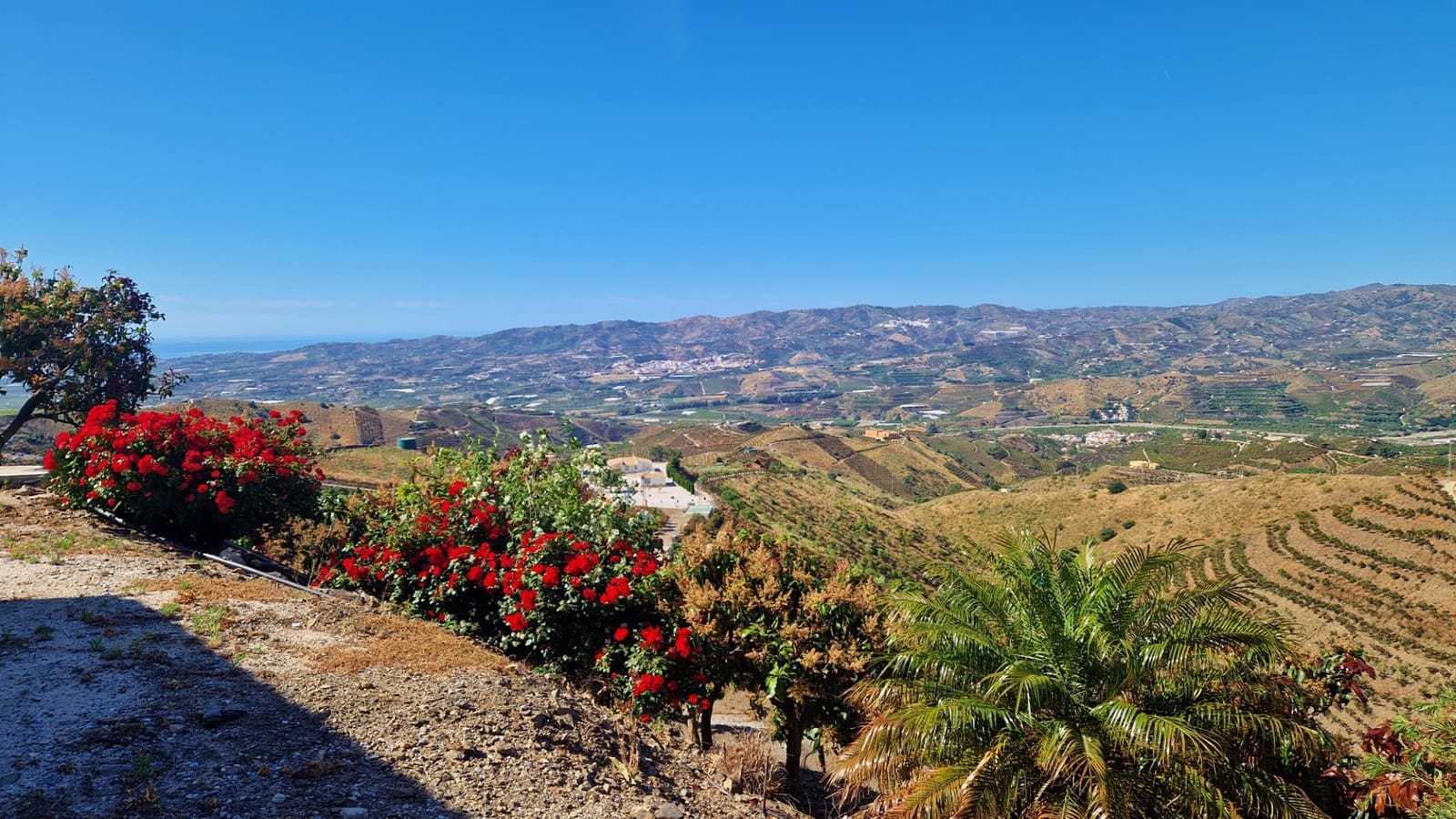 4 chambre Finca/Maison de Campagne à vendre à Velez-Malaga avec piscine - 310 000 € (Ref: 9013188)