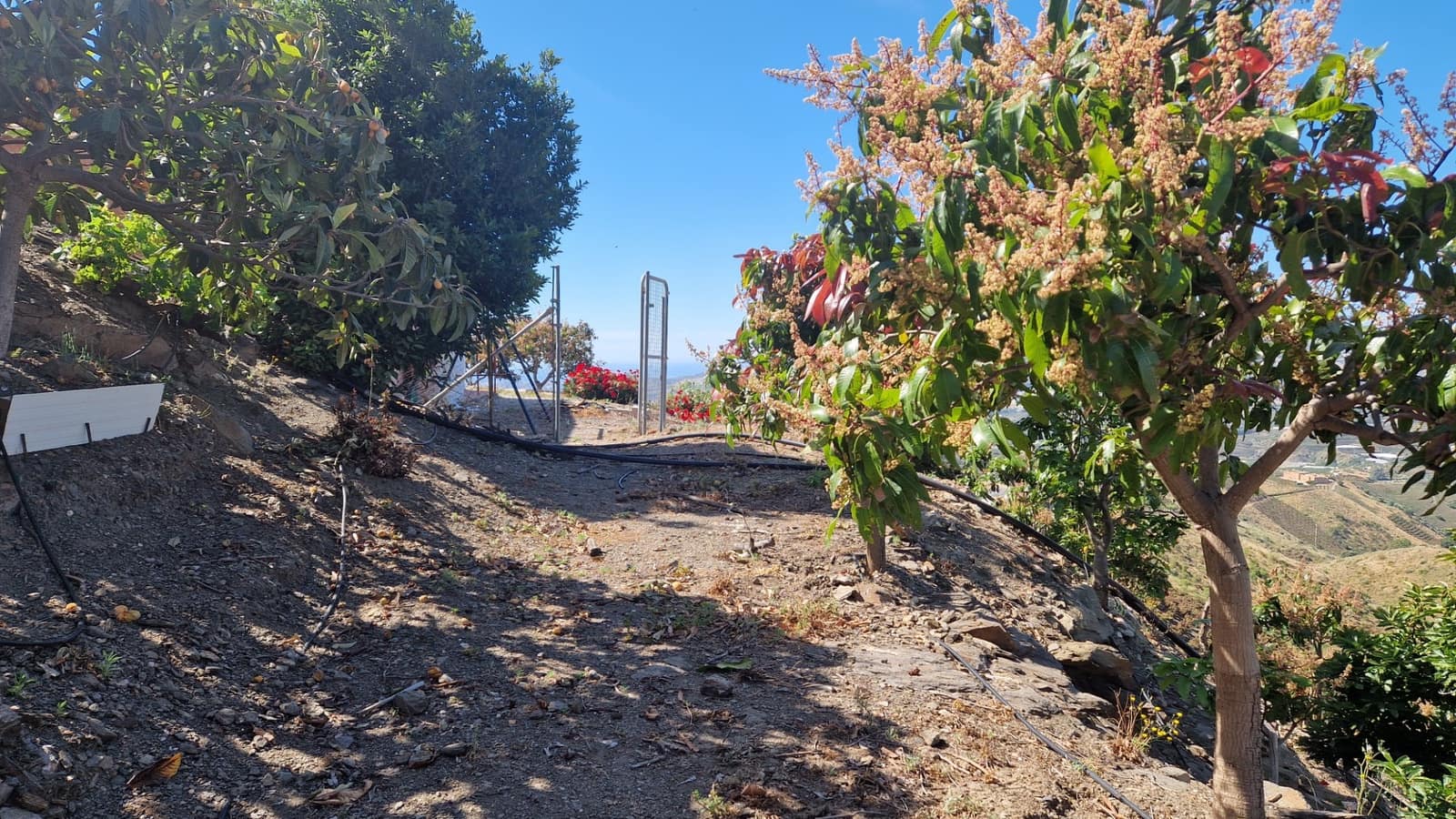 4 chambre Finca/Maison de Campagne à vendre à Velez-Malaga avec piscine - 310 000 € (Ref: 9013188)