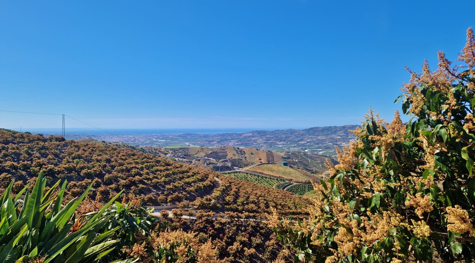 4 chambre Finca/Maison de Campagne à vendre à Velez-Malaga avec piscine - 310 000 € (Ref: 9013188)