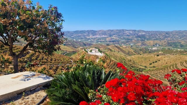 4 chambre Finca/Maison de Campagne à vendre à Vélez-Málaga avec piscine - 310 000 € (Ref: 9013188)