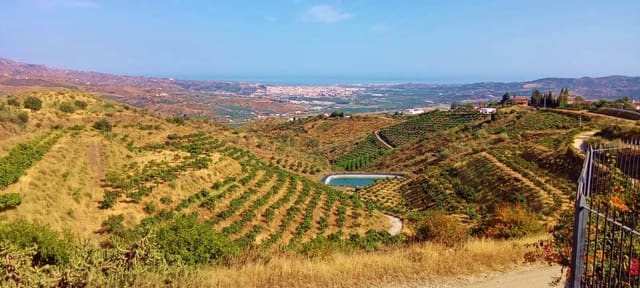 4 bedroom Finca/Country House for sale in Vélez-Málaga with pool - € 359,000 (Ref: 9111495)