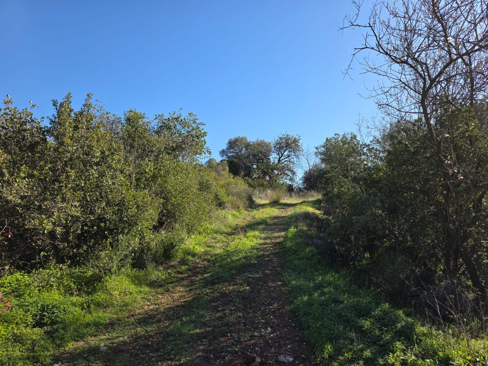 Ruïne te koop in Comares - € 79.000 (Ref: 9198275)