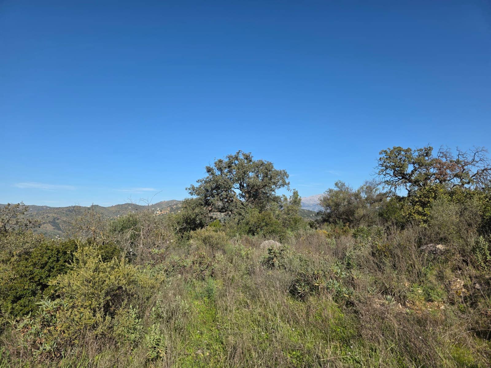 Ruïne te koop in Comares - € 79.000 (Ref: 9198275)