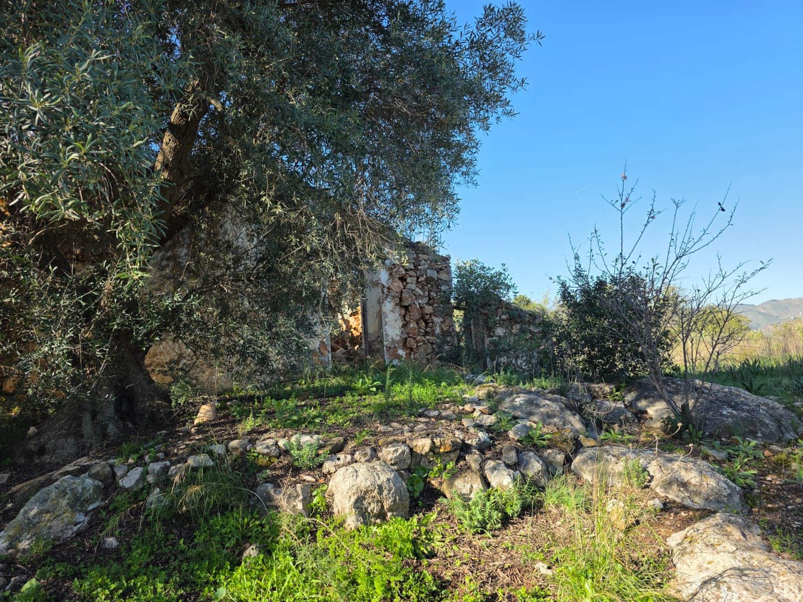 Ruïne te koop in Comares - € 79.000 (Ref: 9198275)