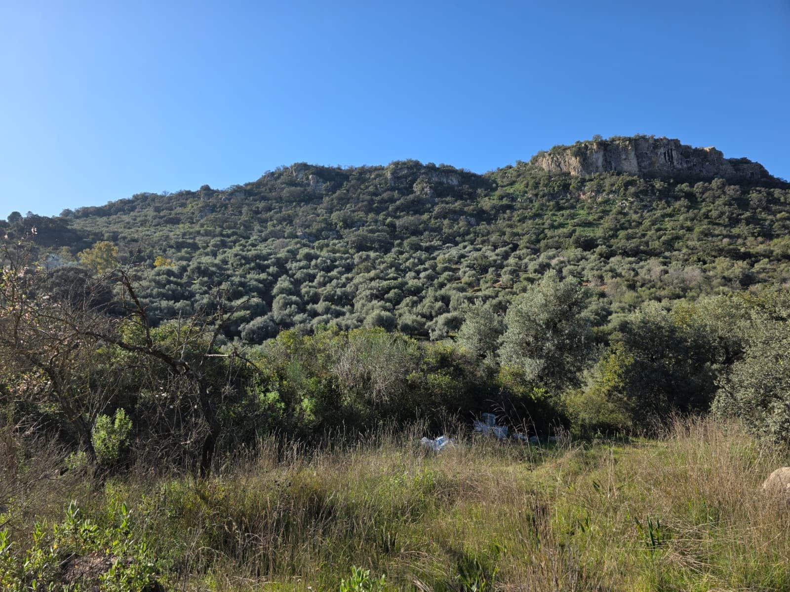 Ruïne te koop in Comares - € 79.000 (Ref: 9198275)