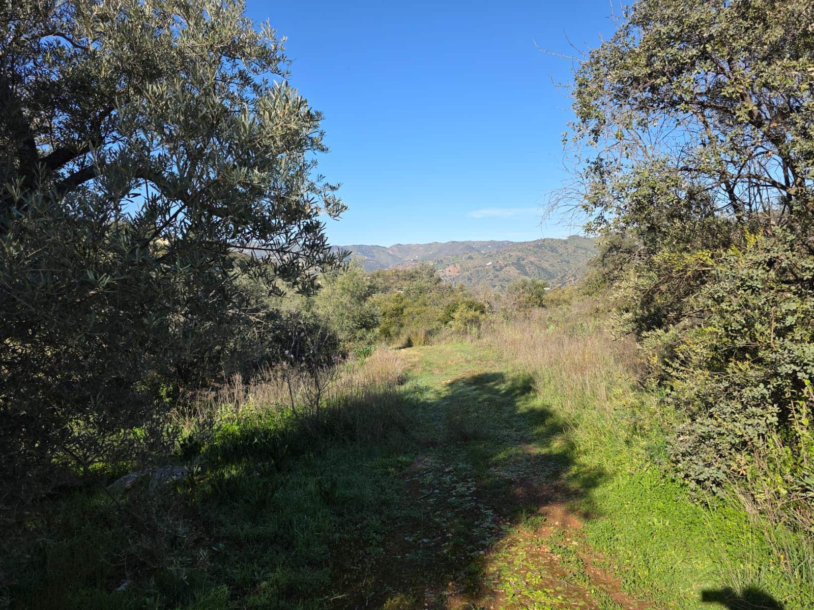 Ruina en Comares en venta - 95.000 € (Ref: 9198275)