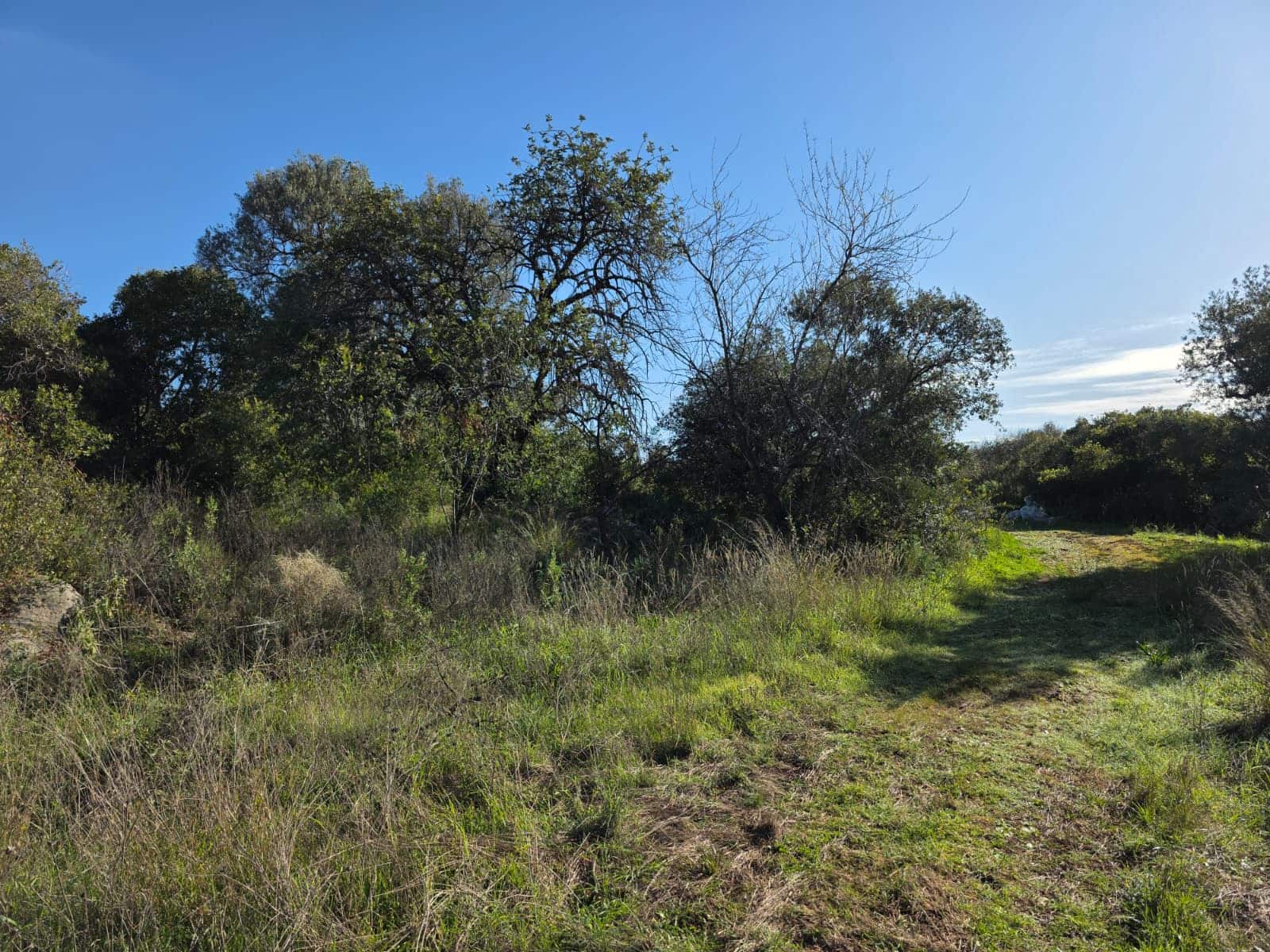 Ruina en Comares en venta - 95.000 € (Ref: 9198275)