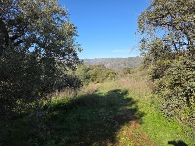 Ruin til salg i Comares - € 95.000 (Ref: 9198275)