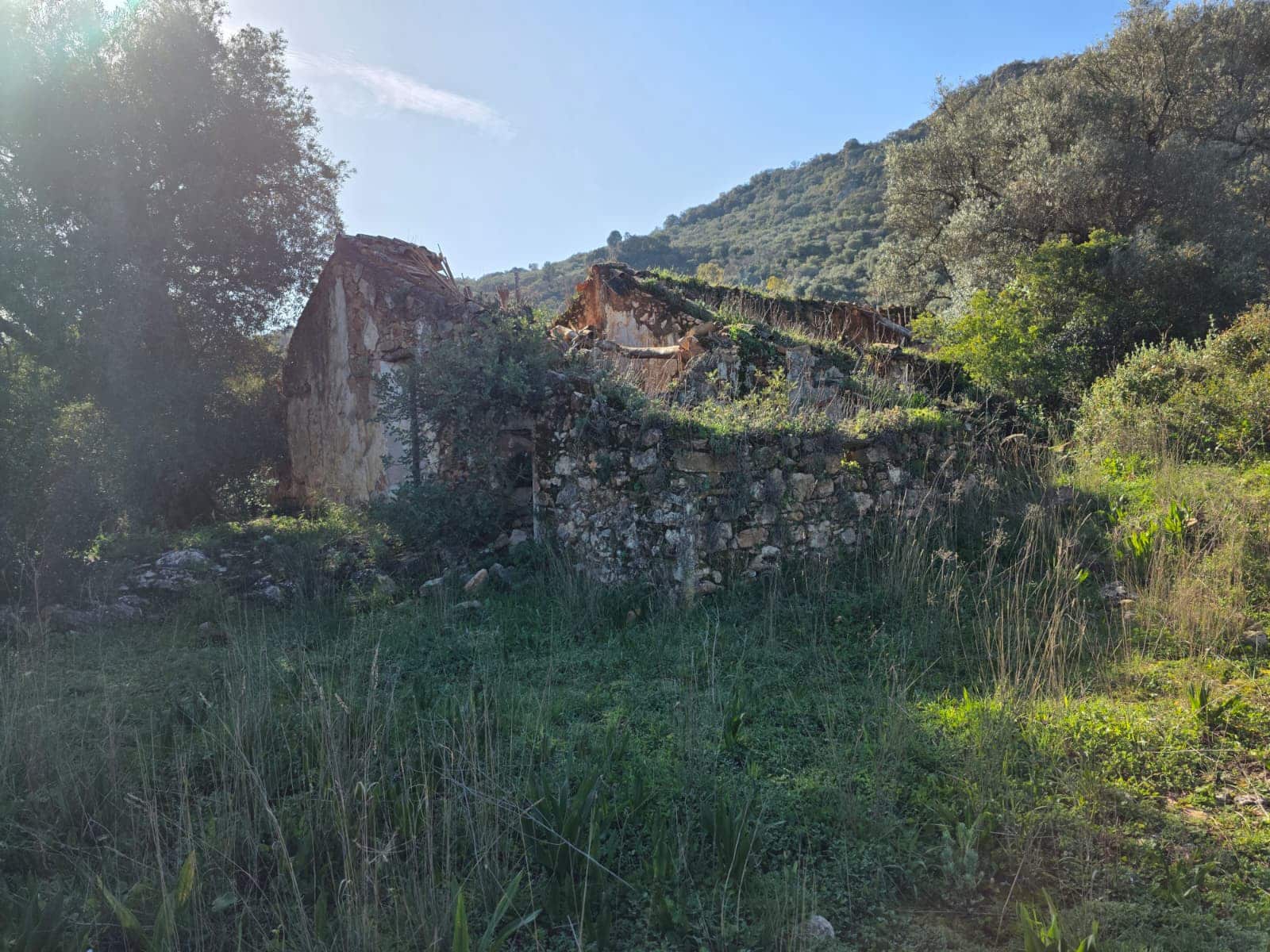 Ruina en Comares en venta - 95.000 € (Ref: 9198275)
