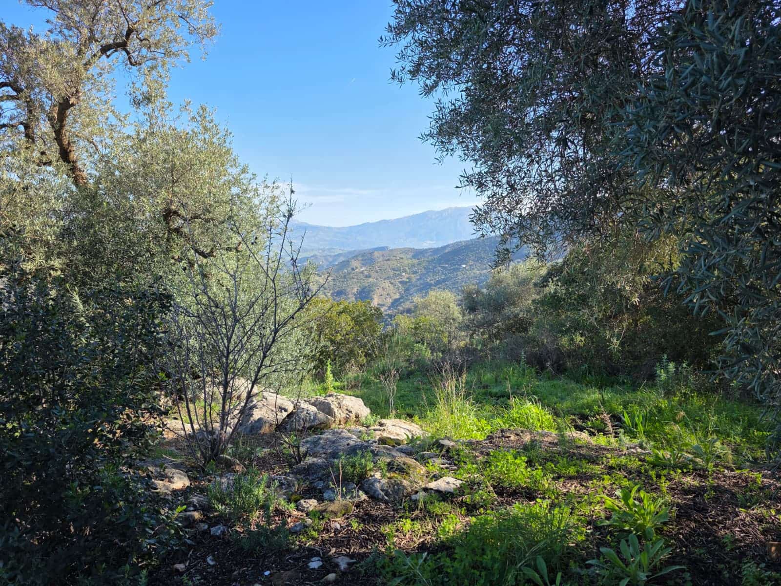 Ruina en Comares en venta - 95.000 € (Ref: 9198275)