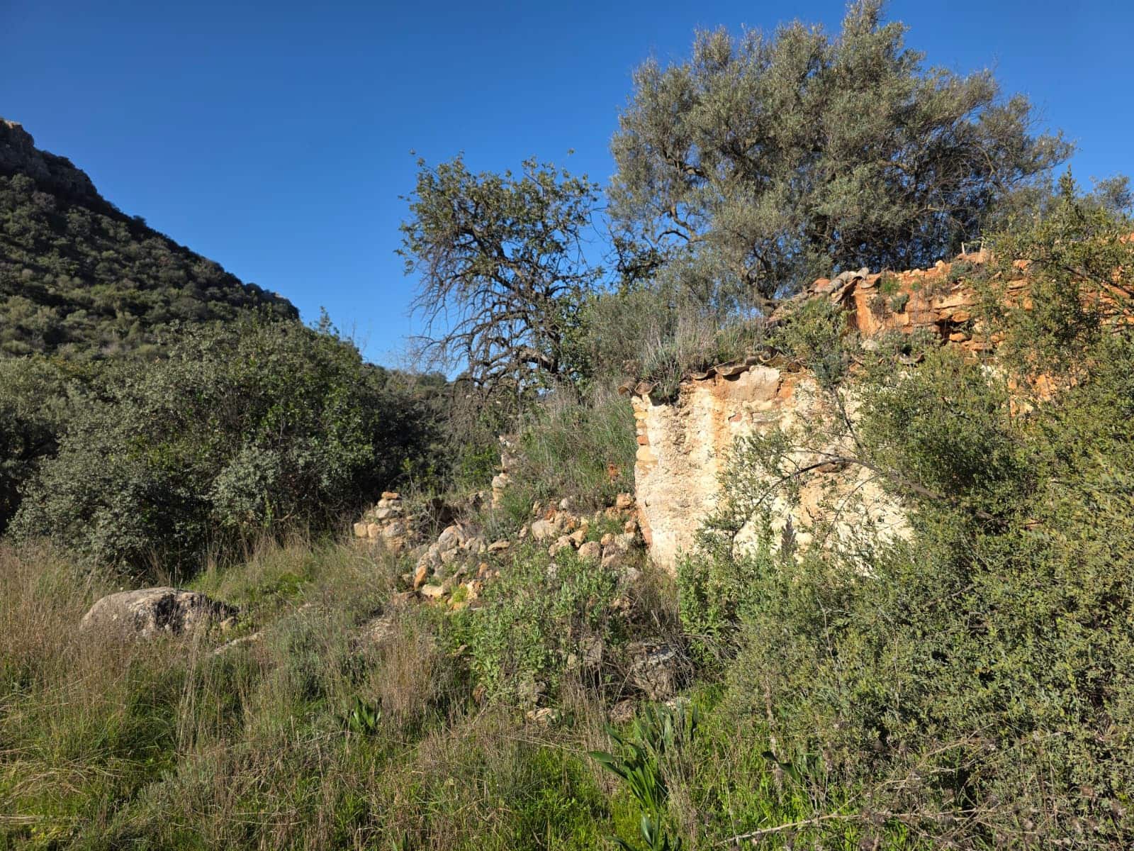 Ruina en Comares en venta - 95.000 € (Ref: 9198275)