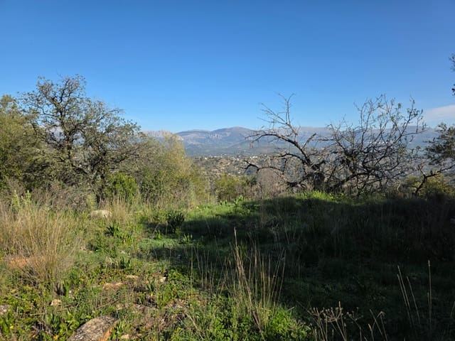 Ruin til salg i Comares - € 95.000 (Ref: 9198275)