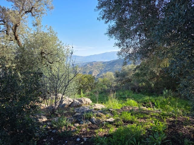 Ruin til salg i Comares - € 95.000 (Ref: 9198275)